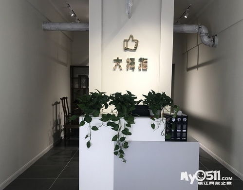 大拇指家政五店共惠 家政协会单位 吊灯家电清洗 各类保洁 客服微信17887276766