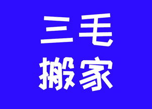 正规保洁服务 创造辉煌 三毛搬家供应