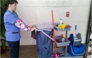 清洗保洁服务公司 湖北清洗保洁服务 武汉龙胜物业价格