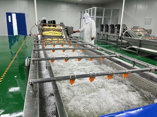 衡水新闻网