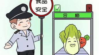 食 字路口,怎么守住安全这道红线