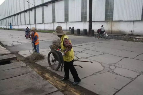 打头阵 当先锋 勇担当——综合服务公司创建清洁工厂在行动