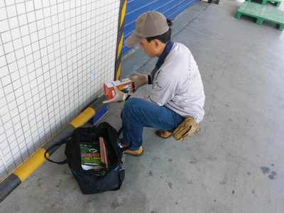 食品厂老鼠防治方案，早用早省心 清洁服务助您无忧经营