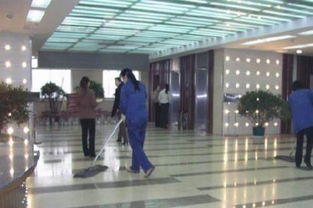 济宁软木地板选购与清洁服务全指南 优质品牌推荐与专业维护建议