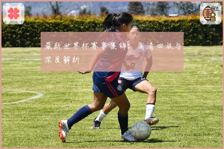 最新世界杯赛事集锦：高清回放与深度解析