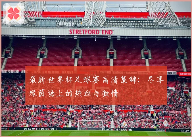最新世界杯足球赛高清集锦：尽享绿茵场上的热血与激情