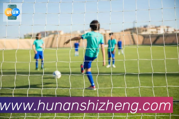 开云app官方在线入口APP 体育赛事宣传图