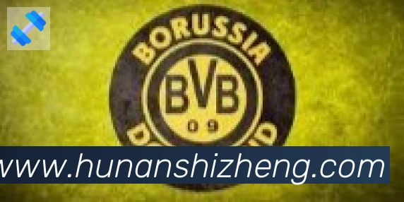 开云app官方在线入口合作伙伴