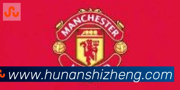 开云app官方在线入口合作伙伴