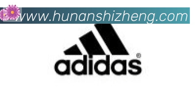 开云app官方在线入口合作伙伴