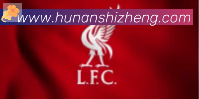 开云app官方在线入口合作伙伴